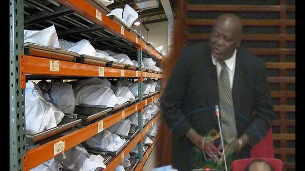 MBUNGE AITAKA SERIKALI IONDOE TOZO YA MAITI “WATANZANIA WANATUSHANGAA
