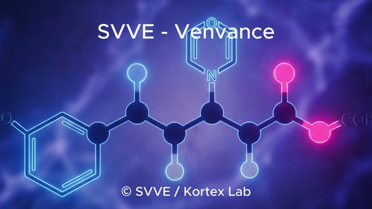 SVVE - Venvance (Original Mix)