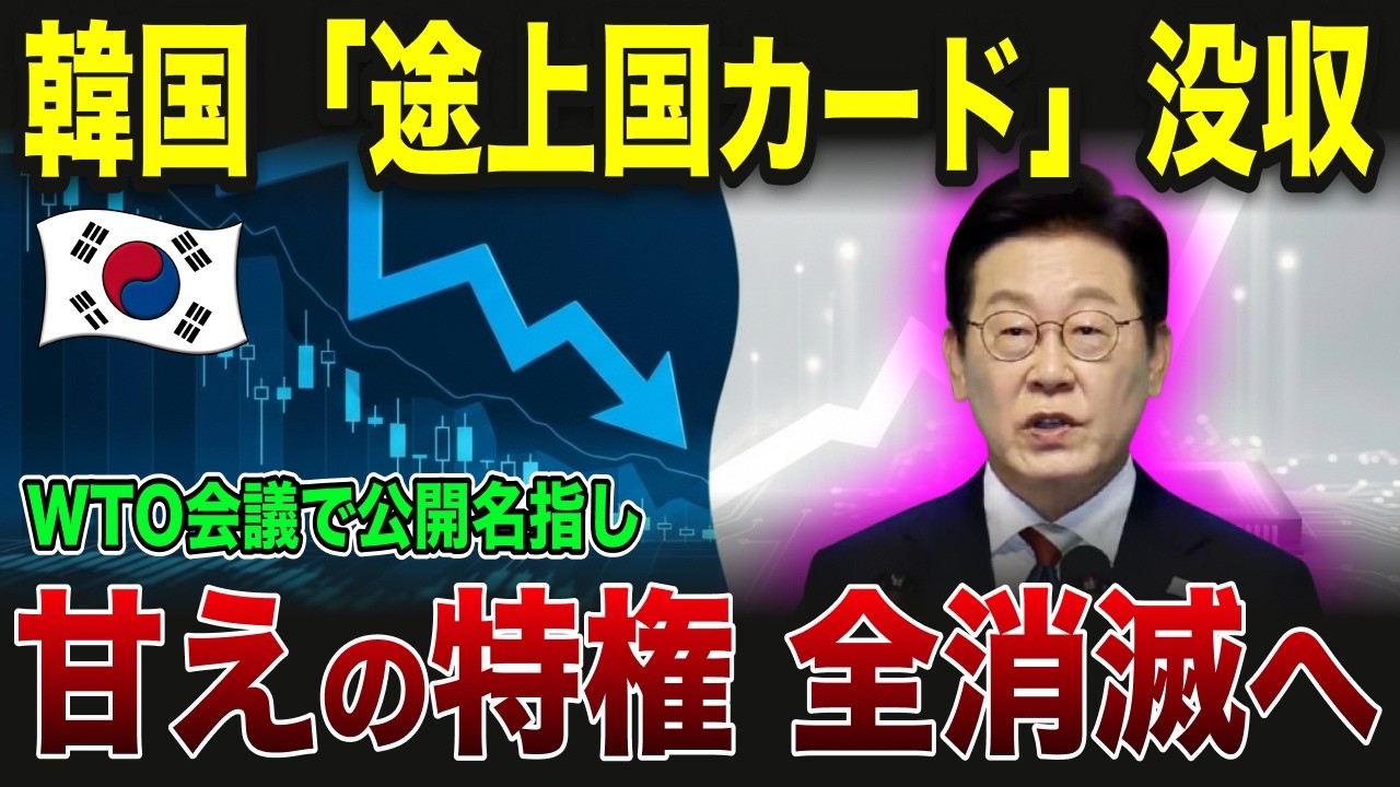 【ゆっくり解説】韓国がWTOで途上国を名乗り続けた結果&hellip;トランプ関税とホルムズ封鎖で三重苦の末路