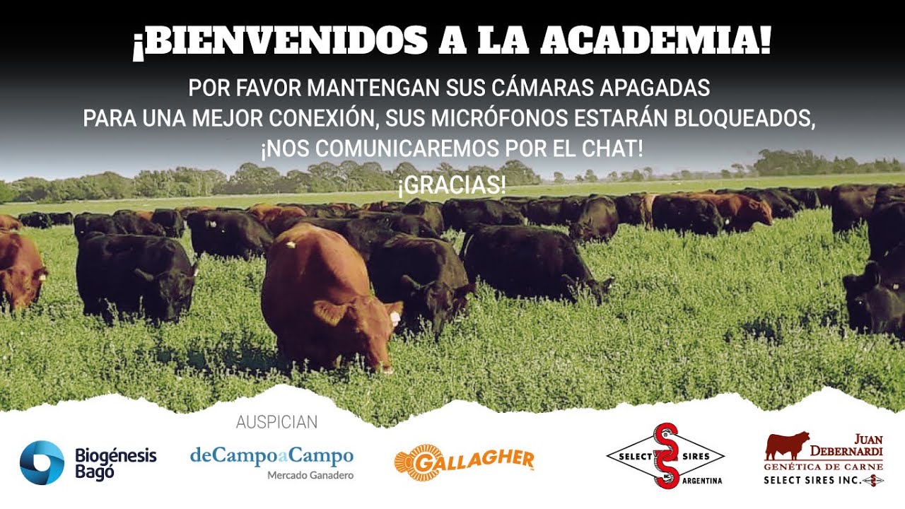 Ganadería Regenerativa , sinergizando rentabilidad y ambiente.