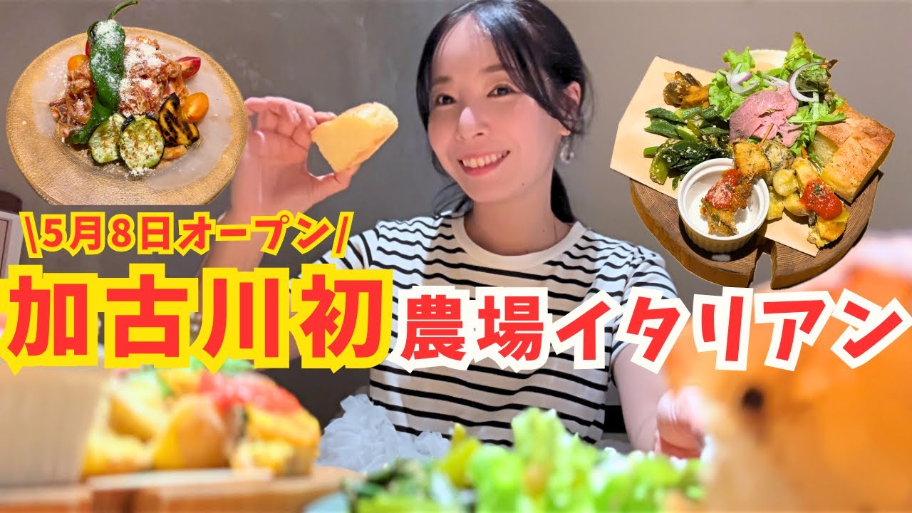 【加古川 グルメ】5/8オープン‼︎本気野菜イタリアンが予想以上だった！