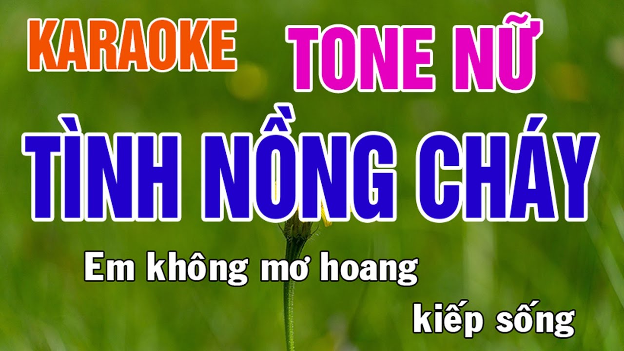 Tình Nồng Cháy Karaoke Tone Nữ Nhạc Sống - Phối Mới Dễ Hát - Nhật Nguyễn