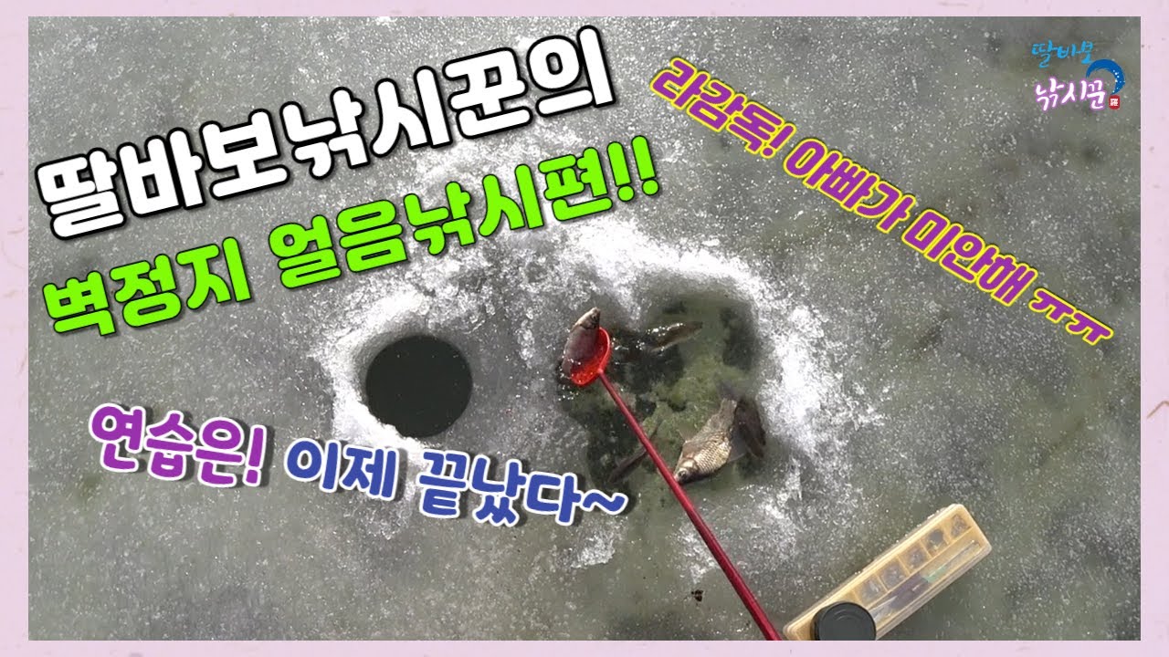 홍성 벽정지 얼음낚시에 막나오는 붕어들~