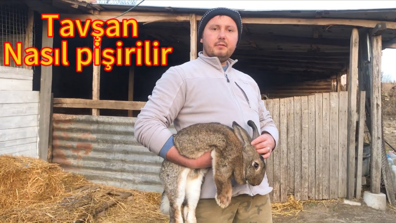 Tavşan nasıl pişirilir~ Köyde yaşam #köy #hayvancılık #tavşan