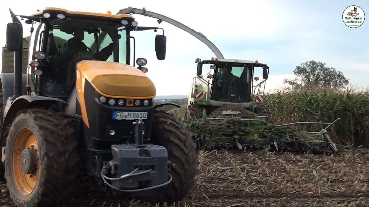 Mais Ernte mit Silage, Claas, JCB, John Deere, corn harvest - Multi Agrar Claußnitz