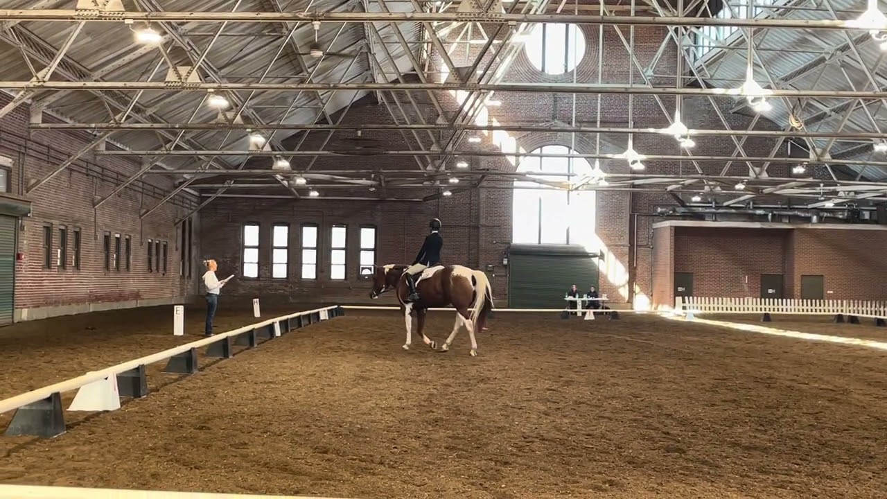 Dressage training level-first Dressage experience 