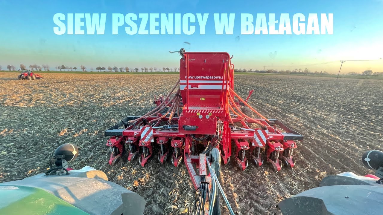 Trudny siew pszenicy po kukurydzy Czy to się uda? FENDT 933 + ST600