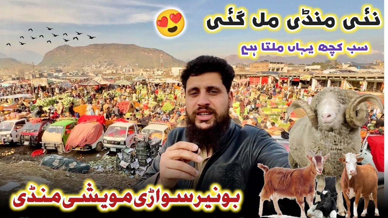 Buner Largest Maweshi Mandi Sowari 2026 بونیر کا ہفتوار میلہ جہاں سب کچھ ملتا ہے Izhar Ali Shah Vlog