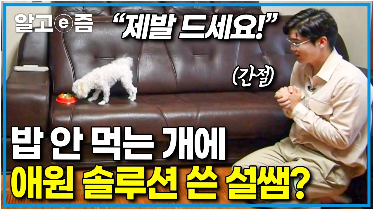 “내가 침 나온다” 세나개 최초 개밥 요리에 도전한 설쌤! 직접 앞치마까지 하고 만든 반려견 건강식을 과연 미식견 아롱이는 먹을까? │세상에 나쁜 개는 없다│알고e즘