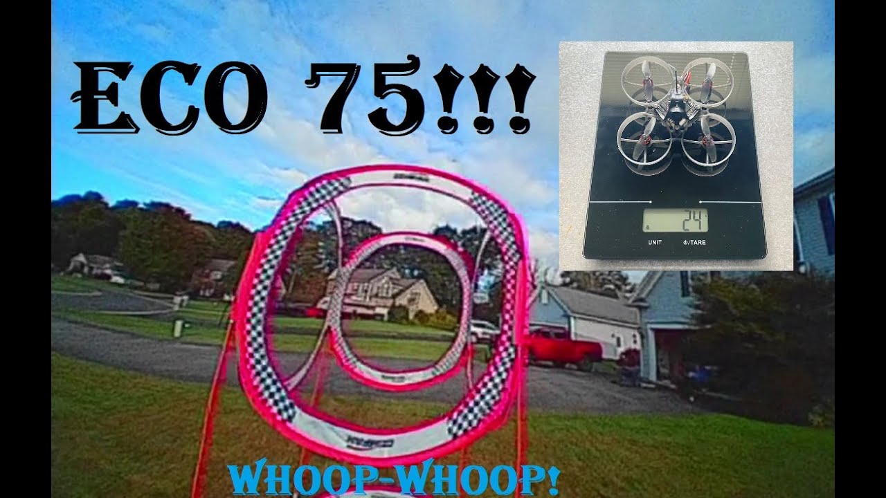 Custom ECO 75mm HDZero Freestyle Whoop!