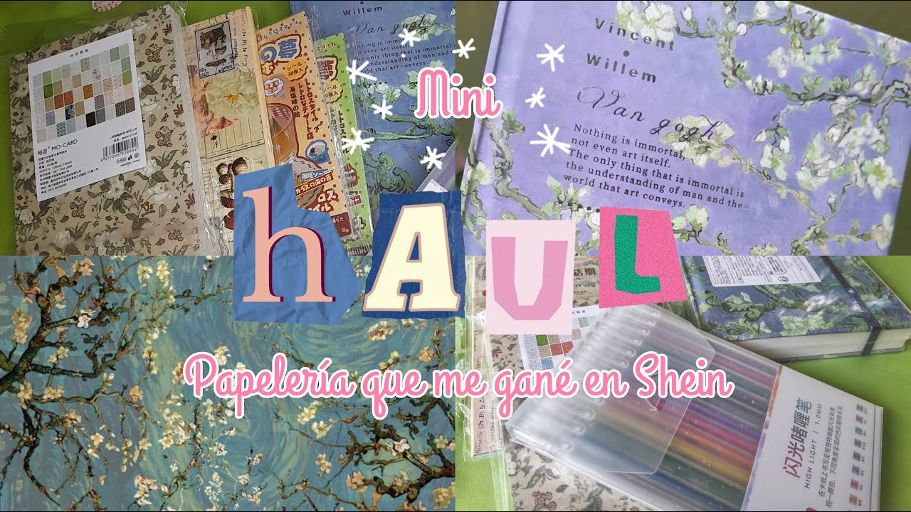 Mini haul✨ | Papelería que me gané en SheIn 📖 Nuevo bullet journal 2026