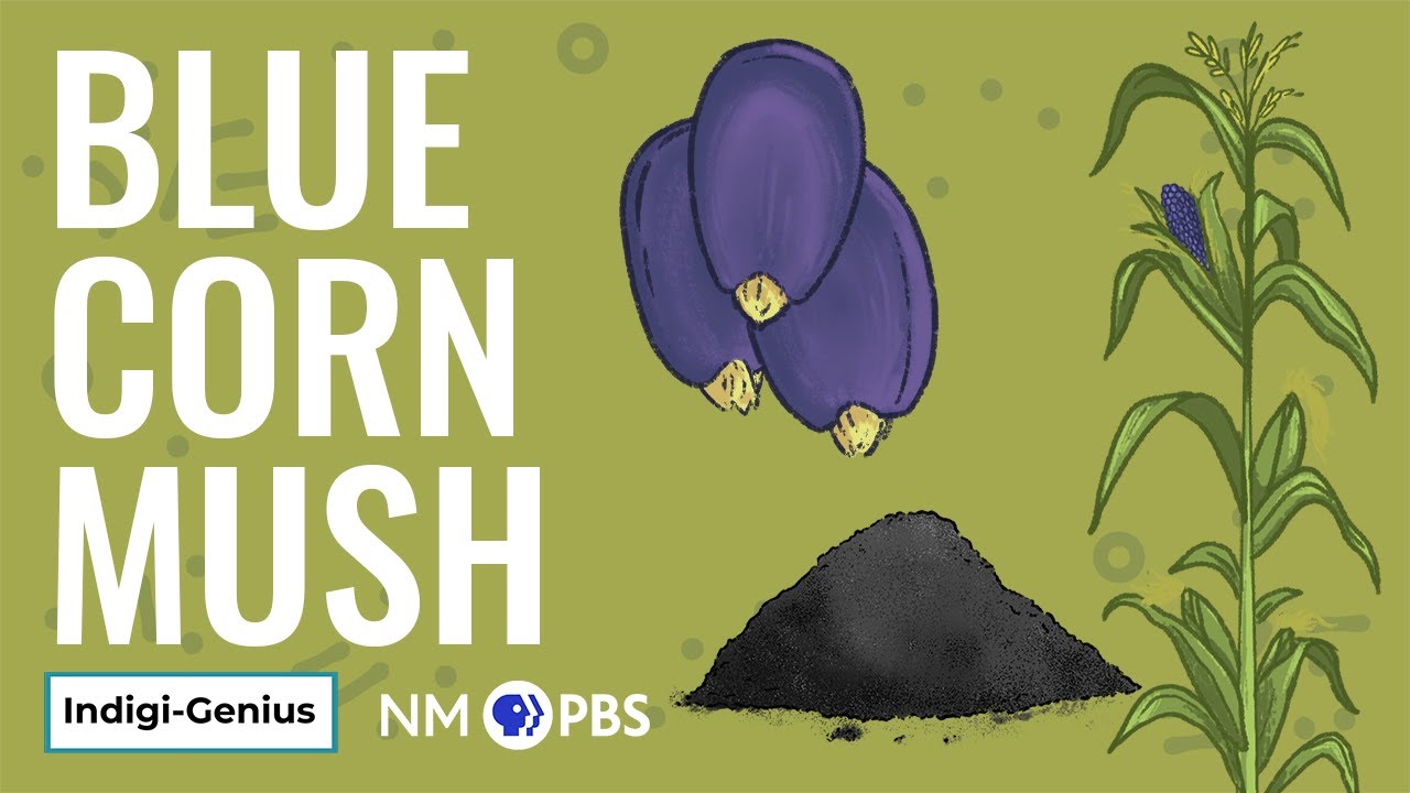 Blue Corn Mush | Indigi-Genius