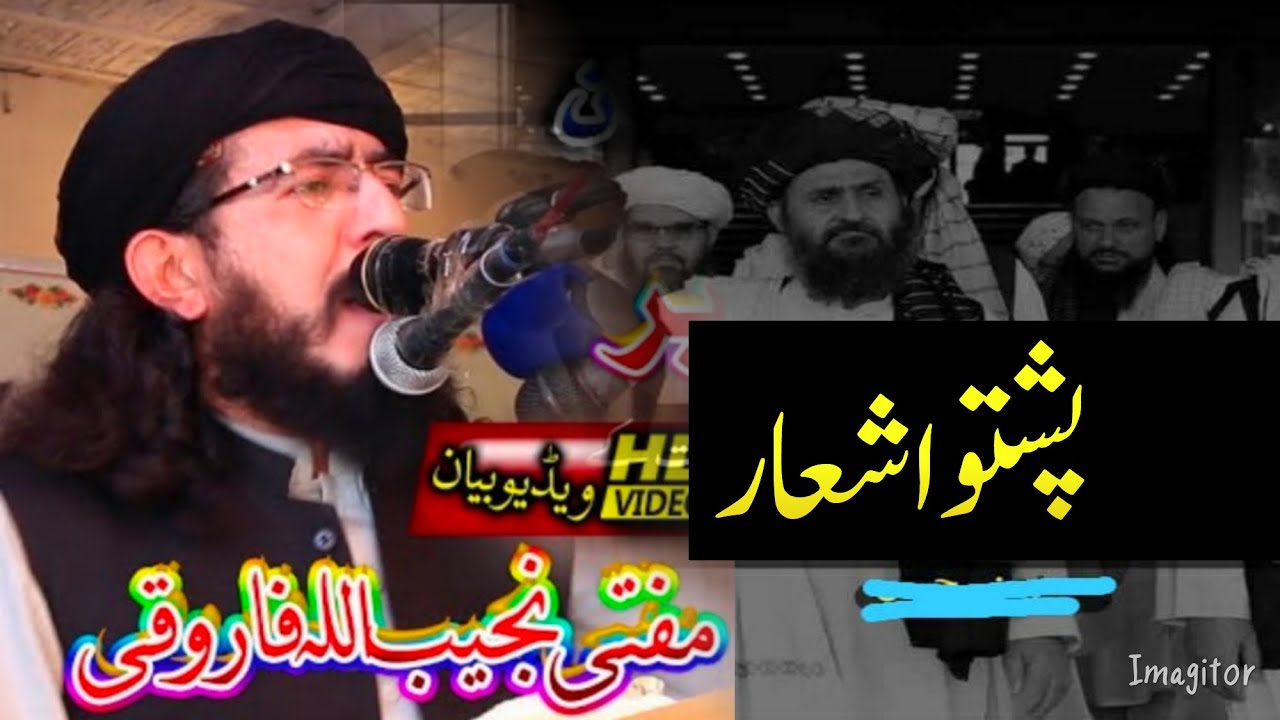 Mufti najeeb Ullah farooqi Sharona | Shobqadar ma Mufti Najeeb Ullah Farooqi Ka Zabardast poetry