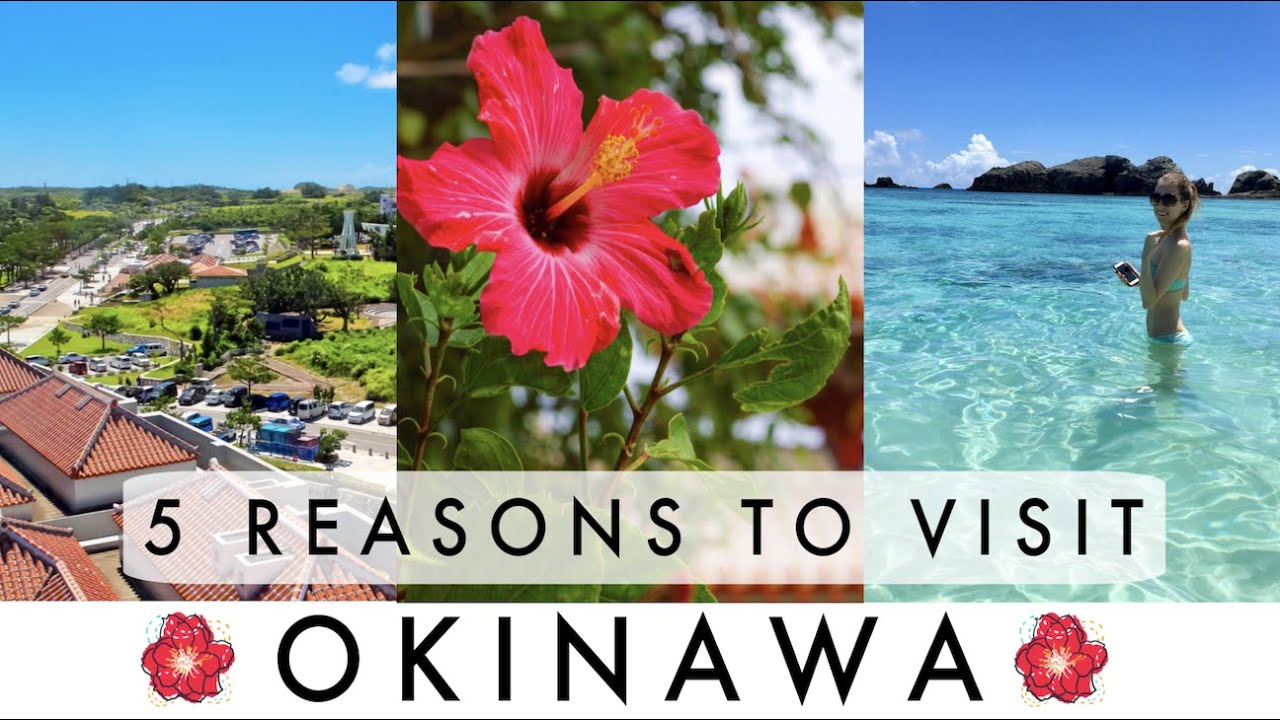 5 Reasons to Visit OKINAWA