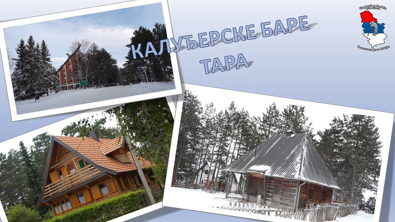 Калуђерске баре; Планина Тара