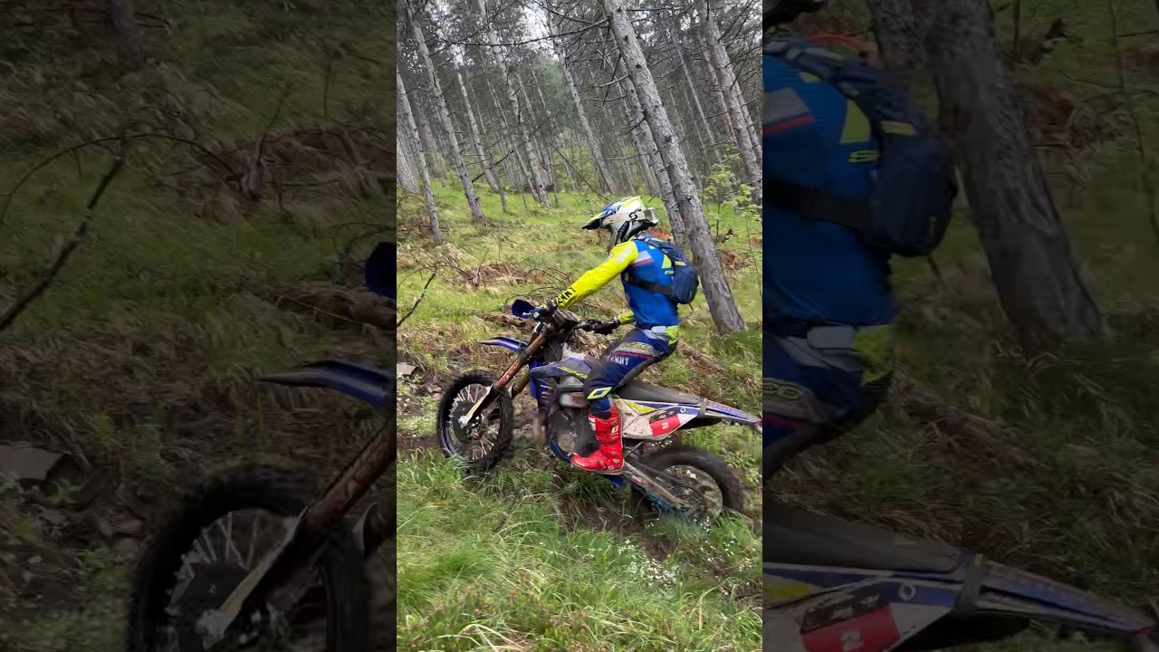 Sherco POWER! Mario Roman wide open hillclimb! Xross Hard Enduro #enduro #hardenduro #sherco #ride