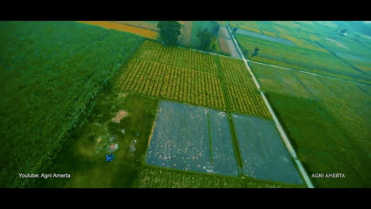 SpeedyBee Master 5 HD With Dji O3 (Video Record From Dji O3)