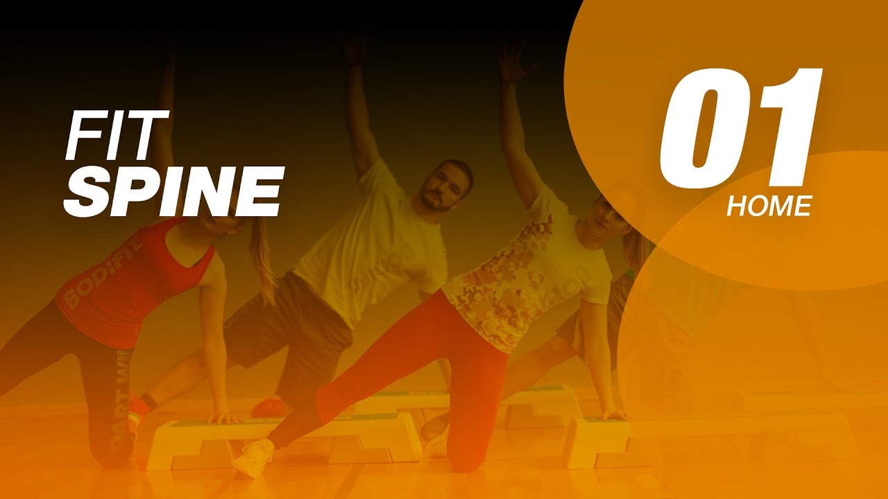 FIT SPINE 01