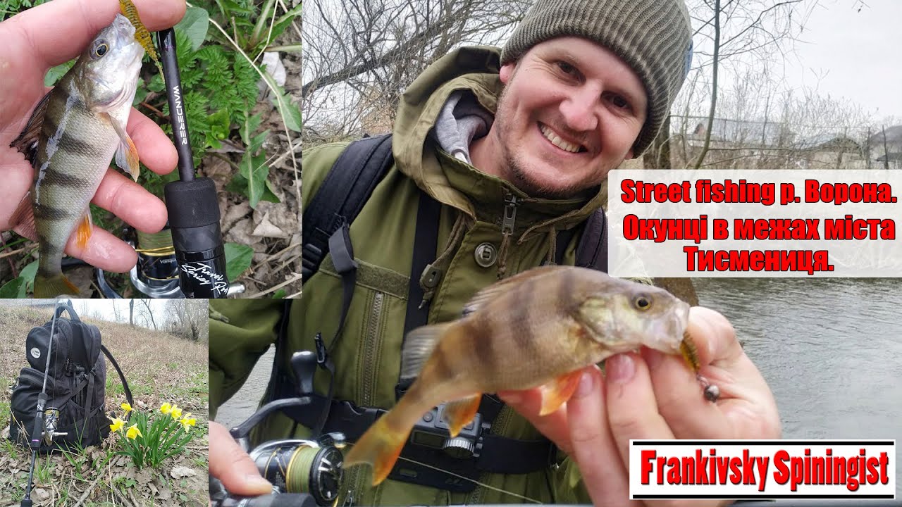 Street fishing р. Ворона. Окунці в межах міста Тисмениця.