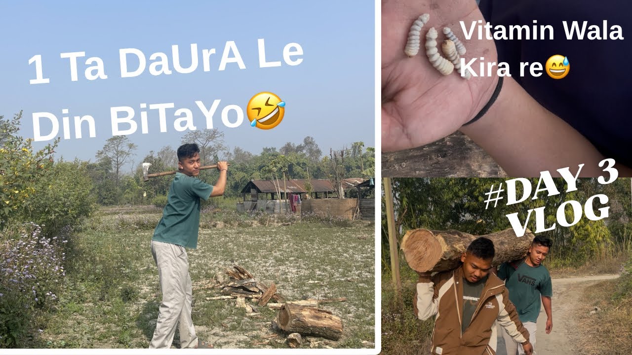 1 ta daura la din bitayo 😞