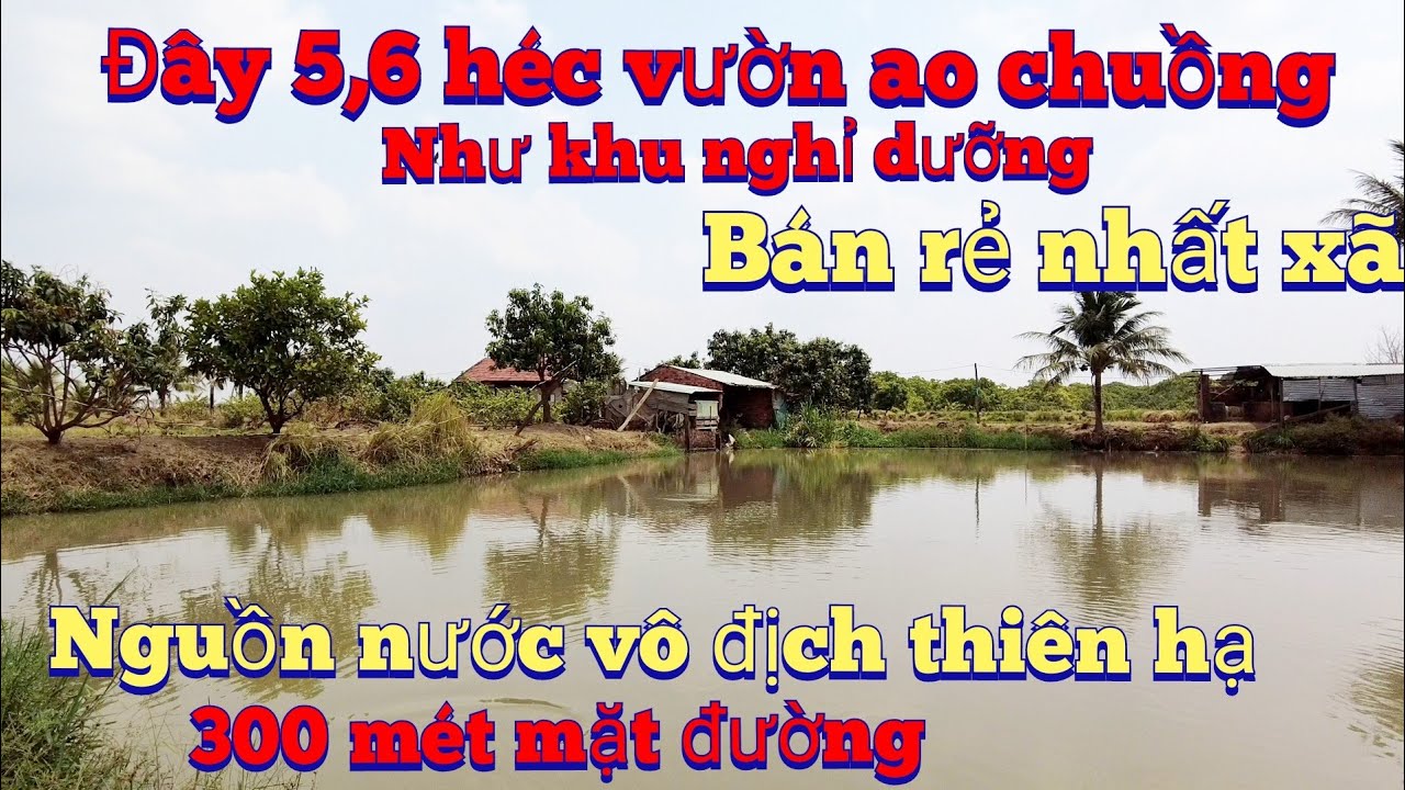 Cần nhượng 5,6 ha vườn ao chuồng ôm sông lớn , lh 0983803253