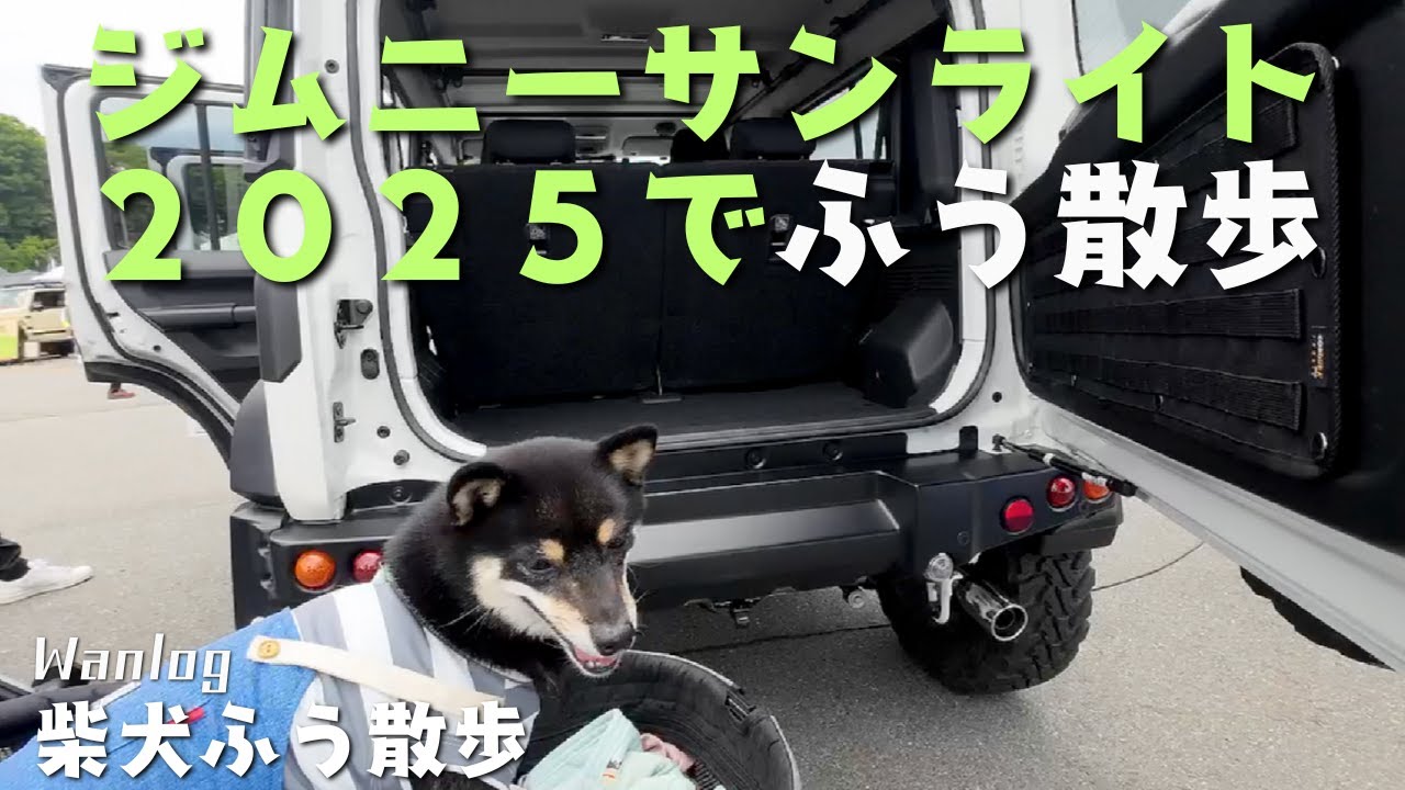 【ジムニーサンライト】ジムサンで柴犬ふうとお散歩旅！　黒豆柴ふう散歩＃柴犬＃ジムニー