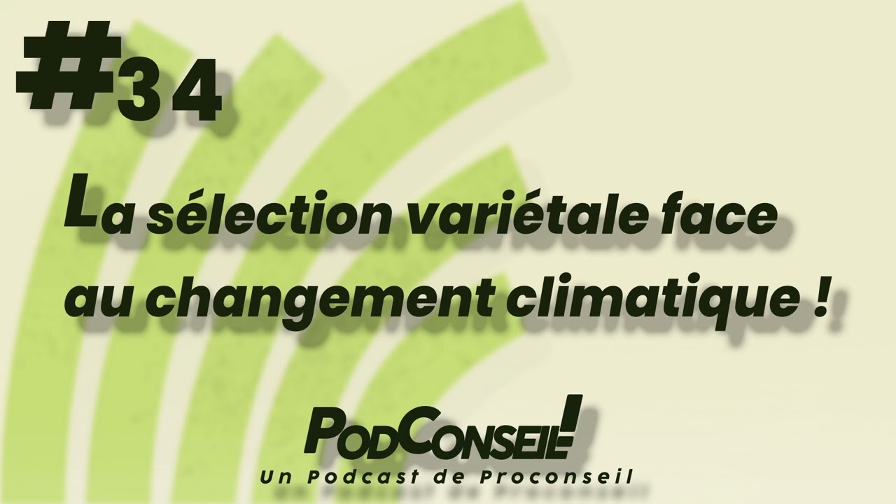 PodConseil #34 - La sélection variétale face au changement climatique !