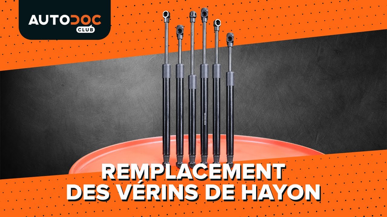 Comment remplacer les vérins de hayon sur une voiture [TUTORIEL AUTODOC]
