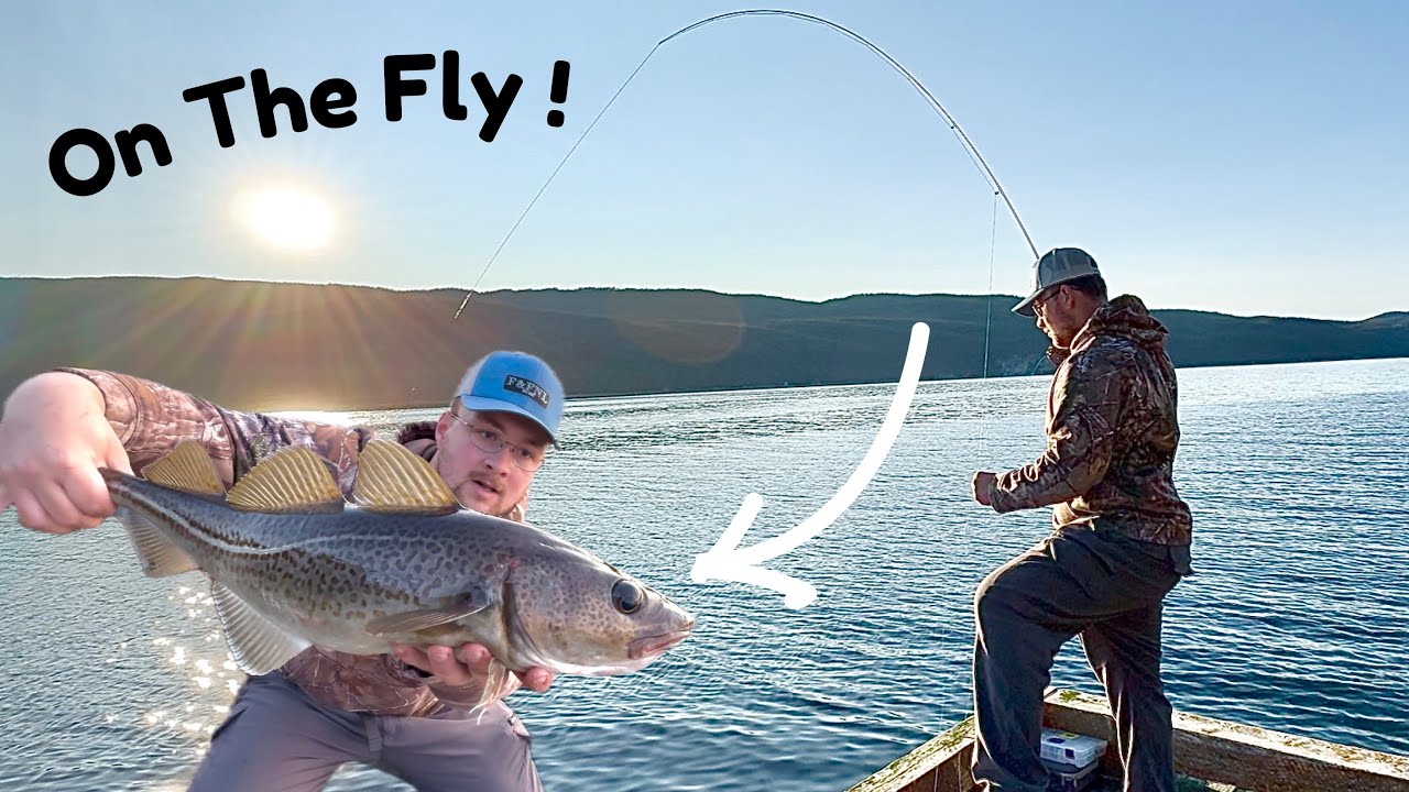 Shore Fishing The Atlantic Ocean For THOUSANDS of Mackerel & COD FISH ! ( EVERY CAST FISH !! )