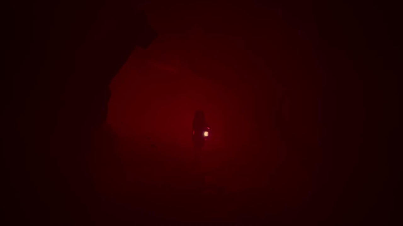 REANIMAL #4