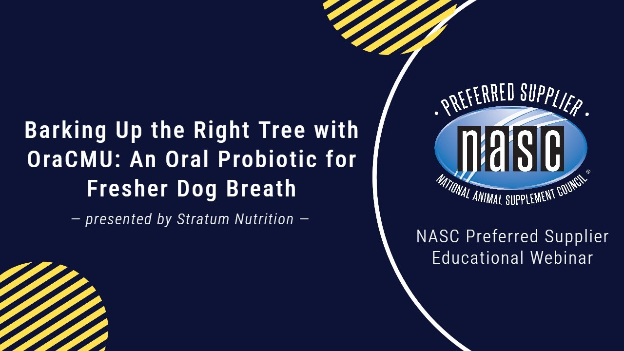 Barking Up the Right Tree with OraCMU: An Oral Probiotic for Fresher Dog Breath