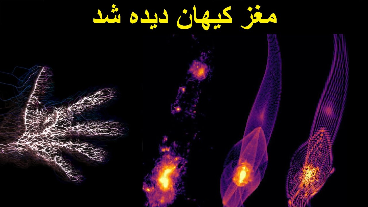 این ثابت می کند که کل جهان در ذهن یک نفر است، کیهان یک مغز است