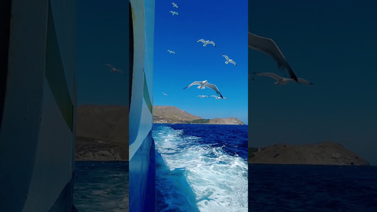 Marriage is a very big sacrifice | Mufti Menk | 