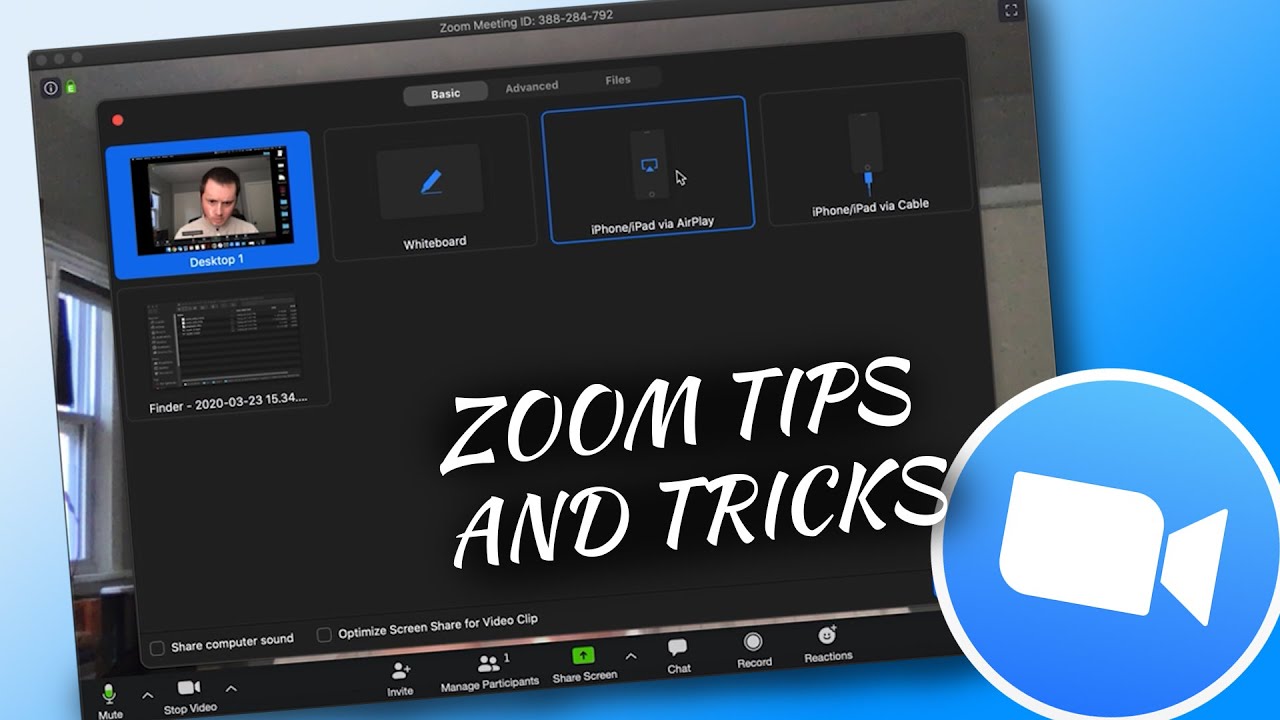 Как делиться документами на экране во время конференции Zoom