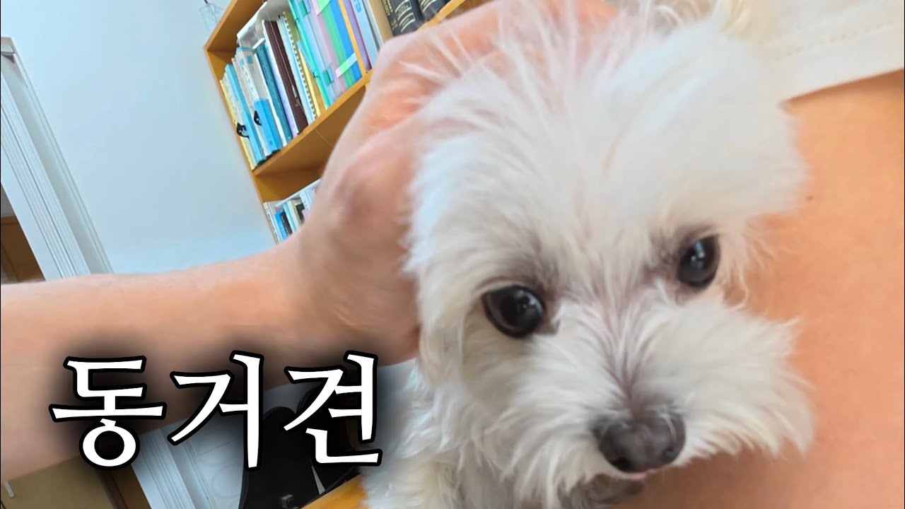 같이 산지 6년만에 만져보다