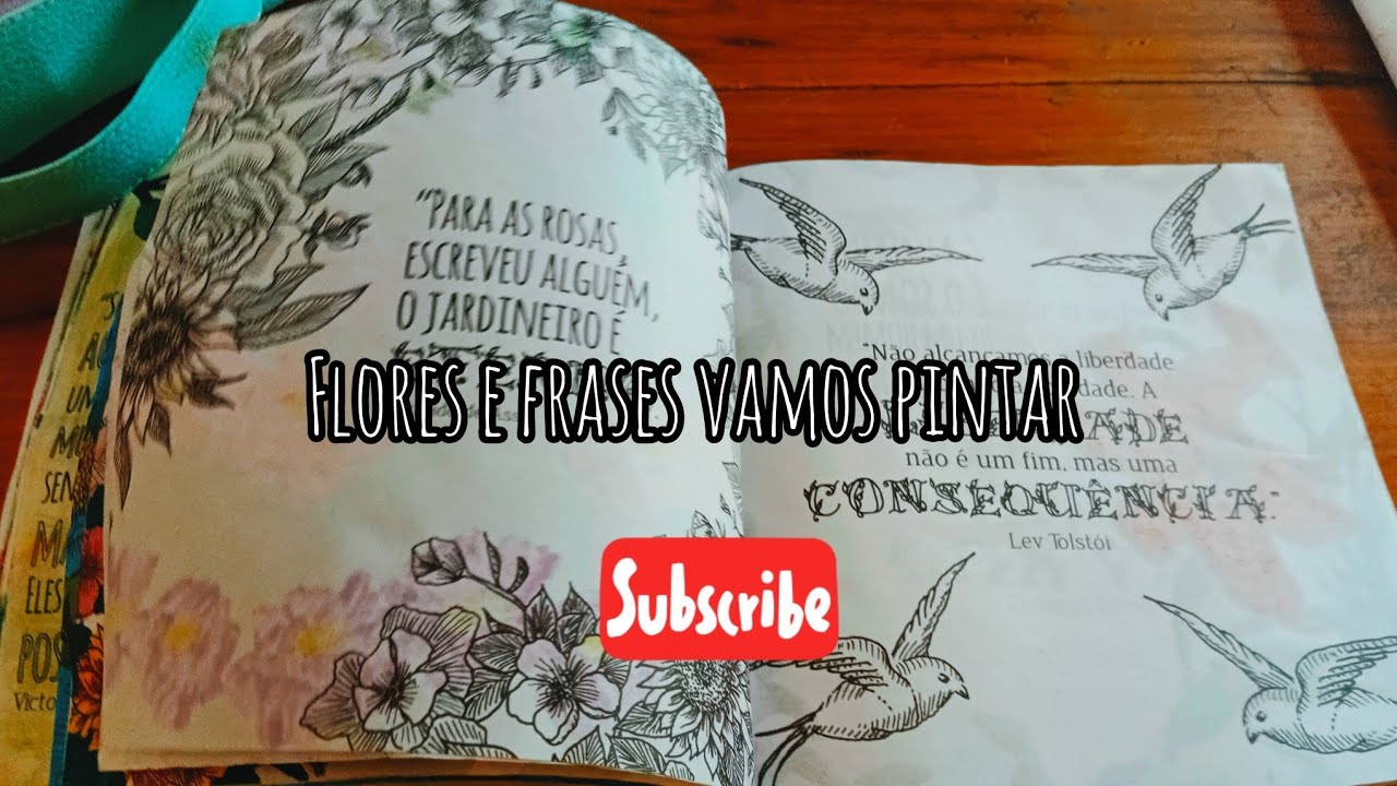 Livro meu refúgio perfeito ❤️ 4 edição 🤓 editora gente 📖 mais uma ilustração 