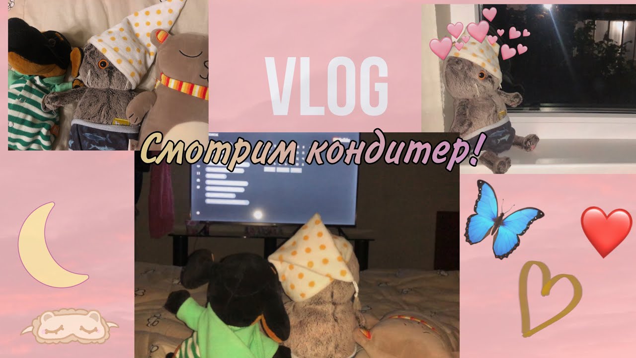 УКЛАДЫВАЮ СПАТЬ БАСИКОВ. СМОТРИМ КОНДИТЕР!🐱