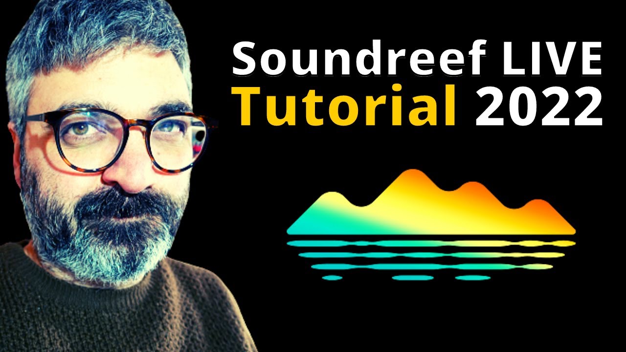 Come fare il Borderò Soundreef Online | Tutorial 2022