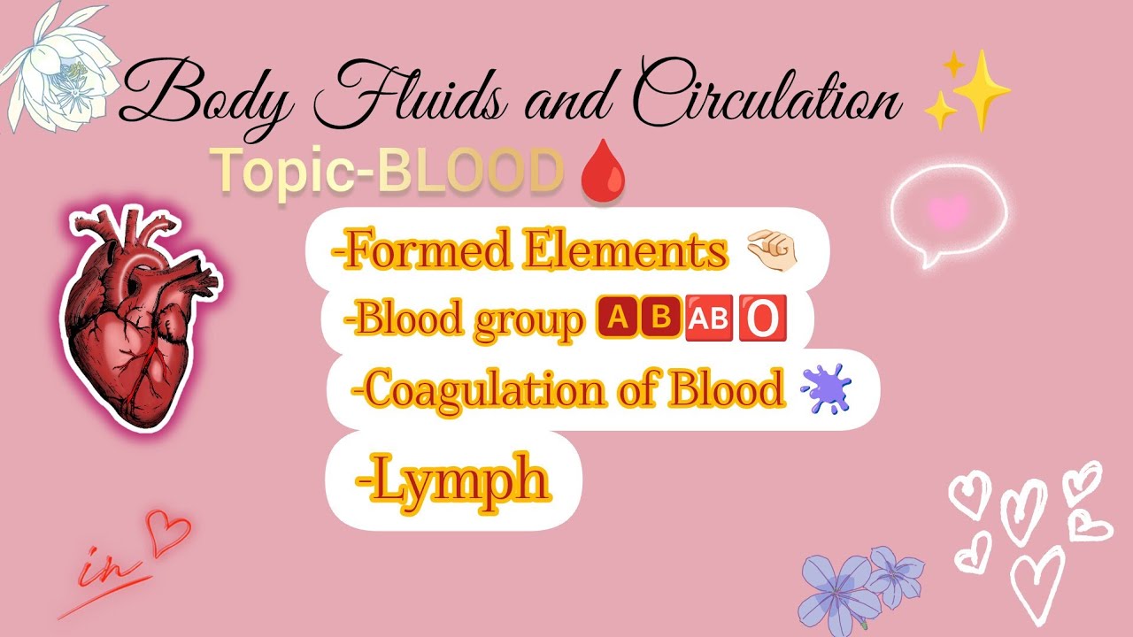 Body fluids and circulation ✨ live session 🚨Upto Lymph ✅ | NEET 2026 