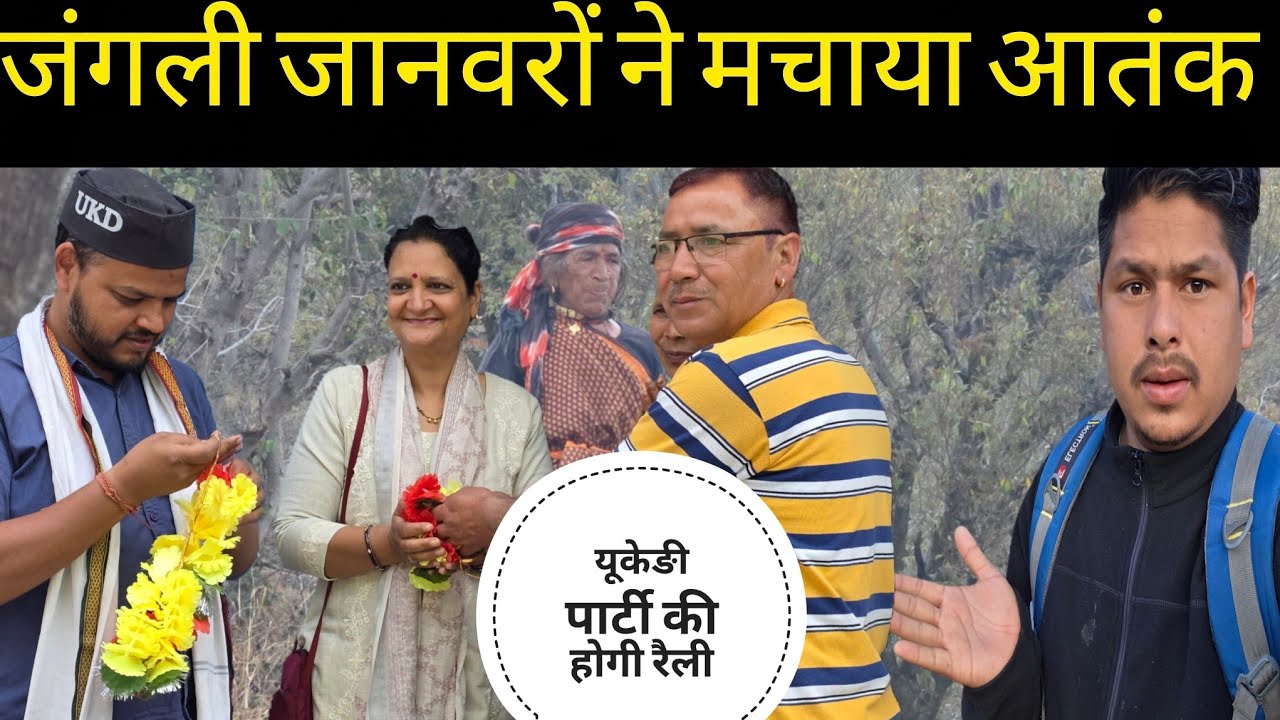 साल भर की मेहनत हुई बर्बाद? जंगली जानवरों मचाया आतंक 