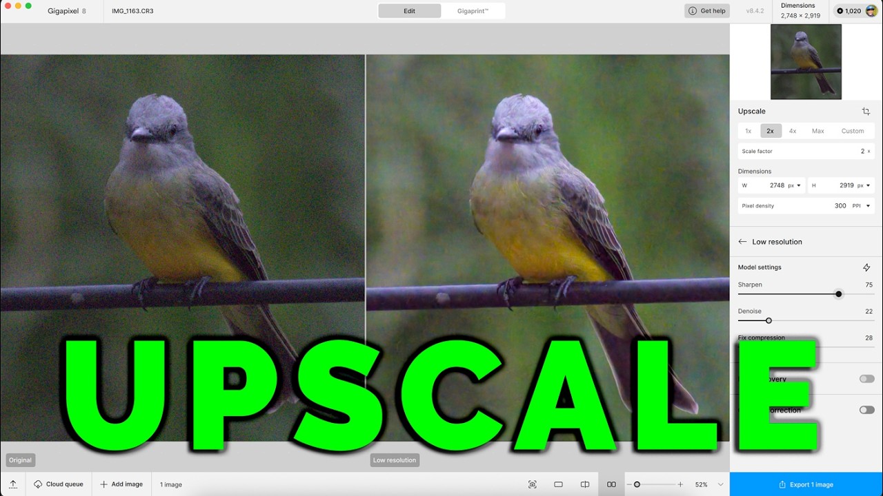 Topaz Gigapixel AI Review | My Honest Results in 2025