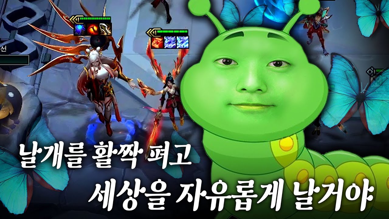 나는 나비