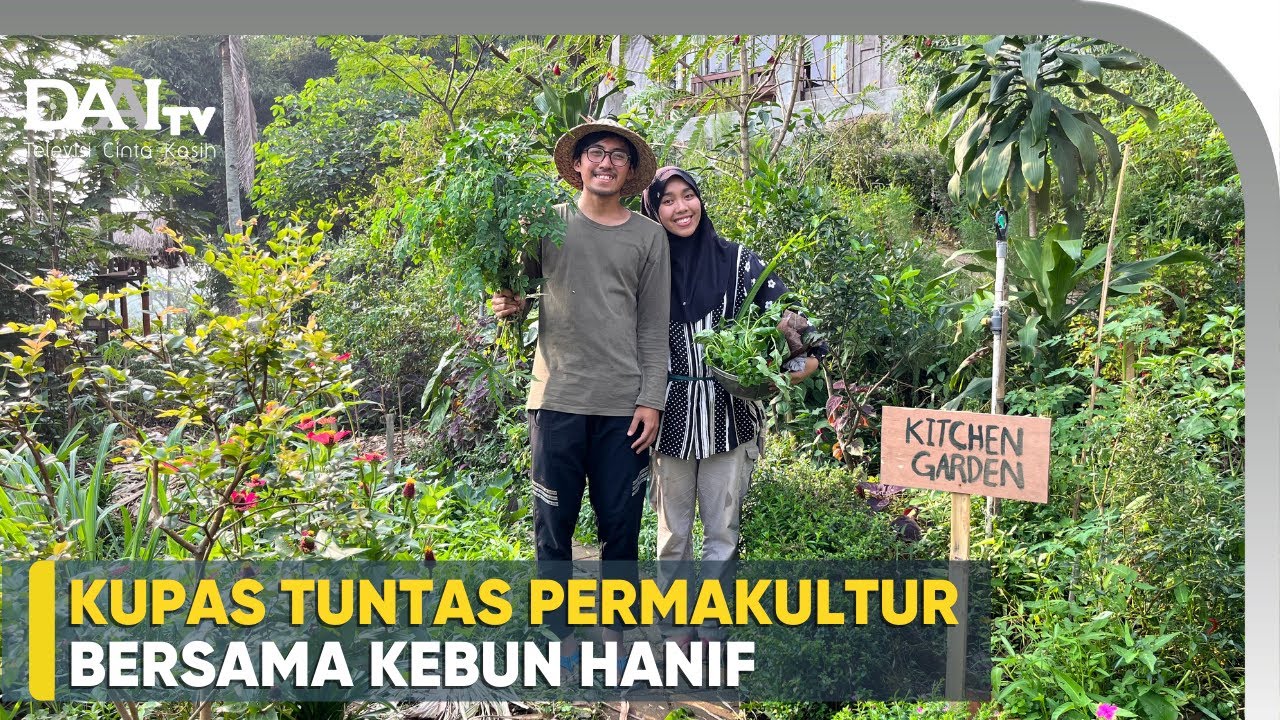 Kebun Permaculture Impian - Kebun Hanif
