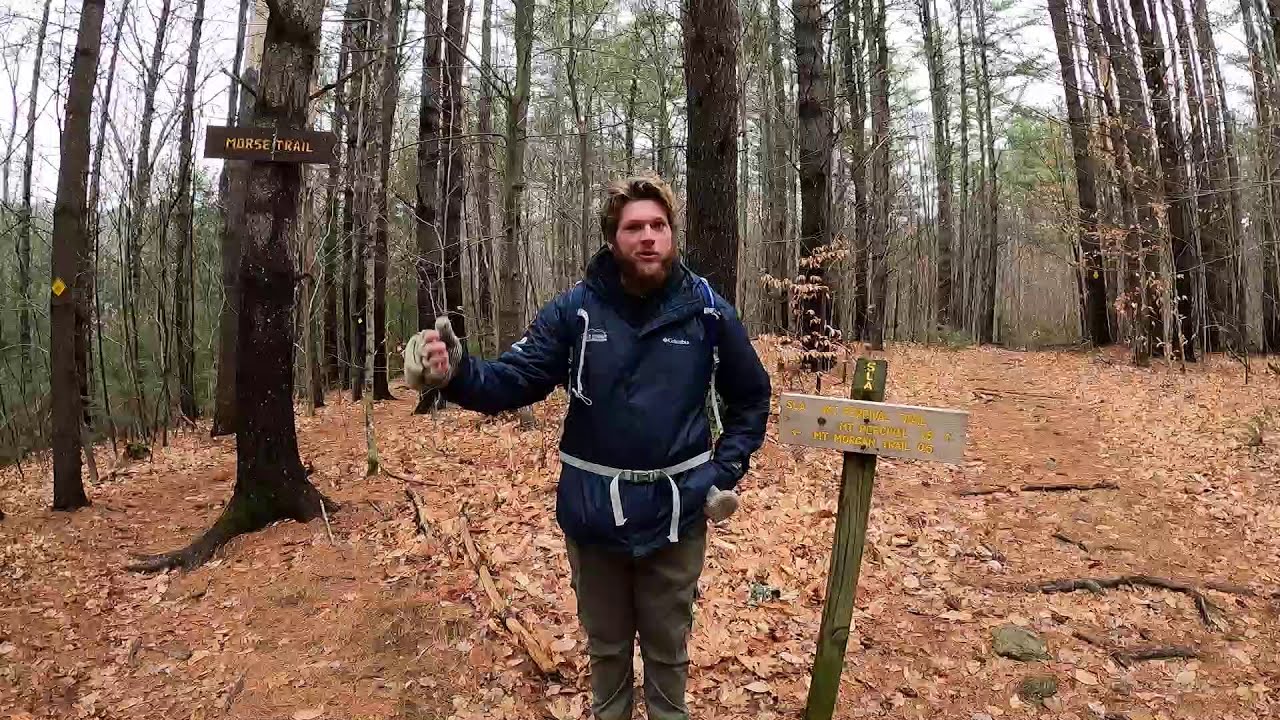Virtual Guided Hike to Mt. Morgan