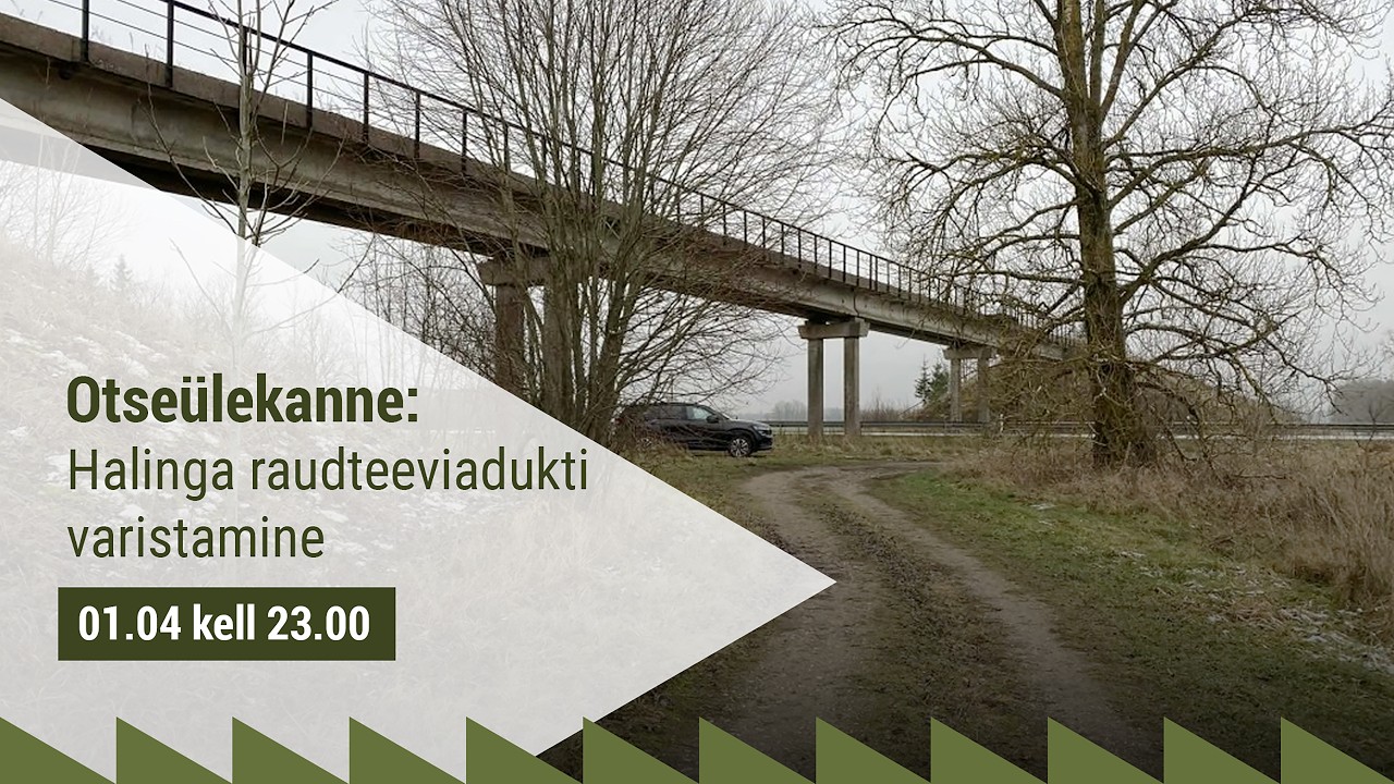 Halinga raudteeviadukti varistamine -- Otse&uuml;lekanne