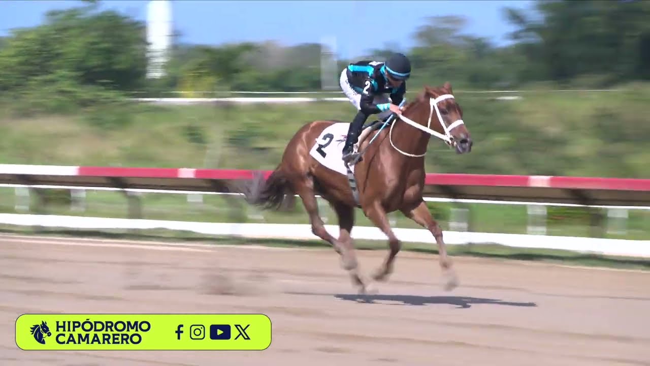 CARRERA 1 - 15/MARZO/2026 (MOR LEMONADE)