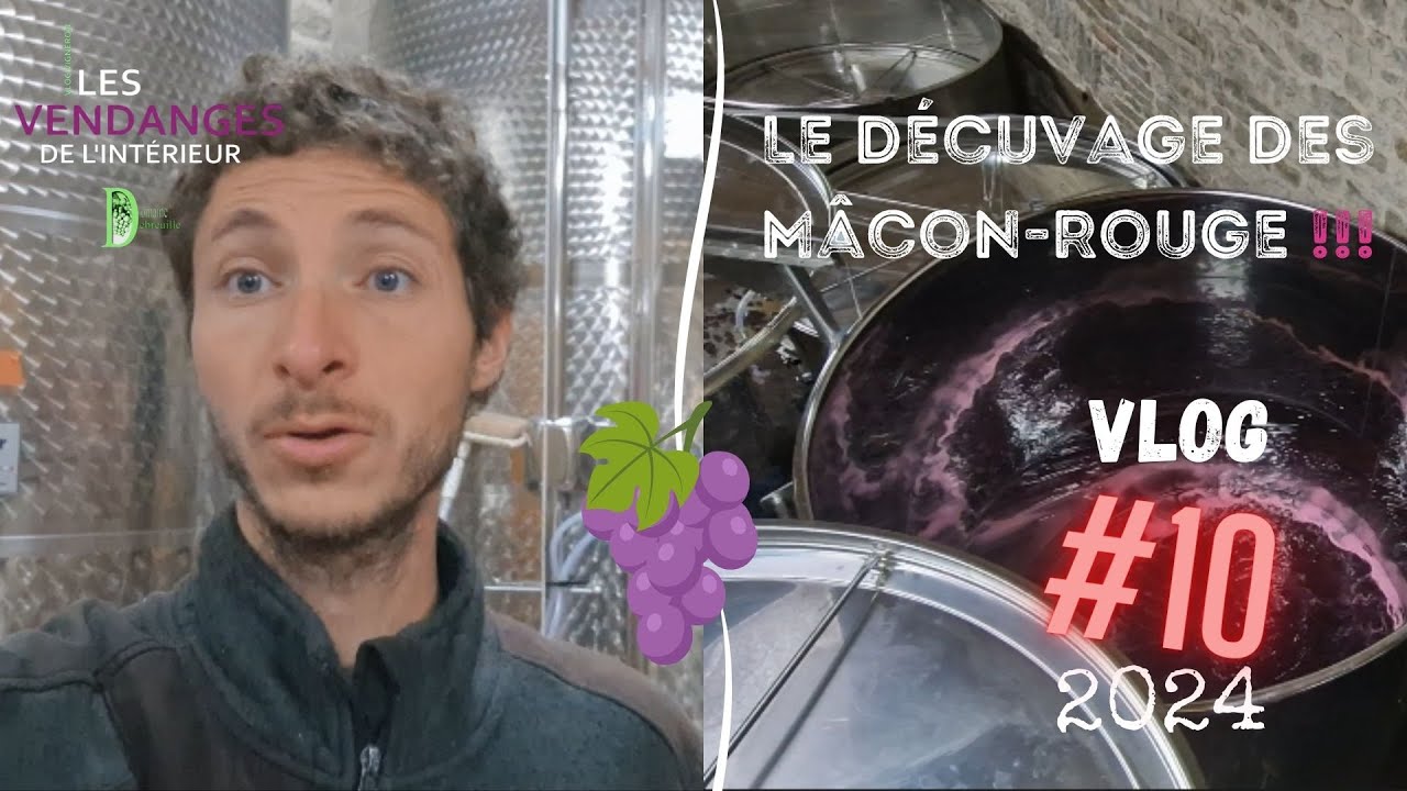 Vlog vigneron #10 : Les décuvages s’enchaînent ! Je réponds à une question /vinification Mâcon Rouge
