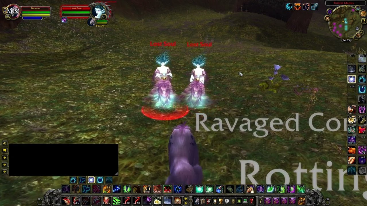 Who is Lost Soul - WoW Classic WOTLK rare spawns