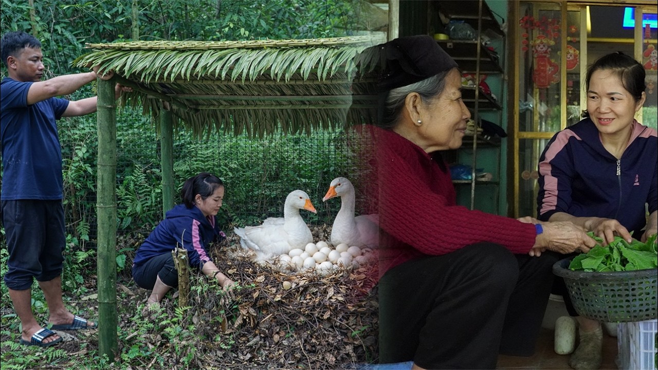 Thuy went to Chuc house to play and visit Chuc mother. Chuc helped Thuy build a nest for the geese.