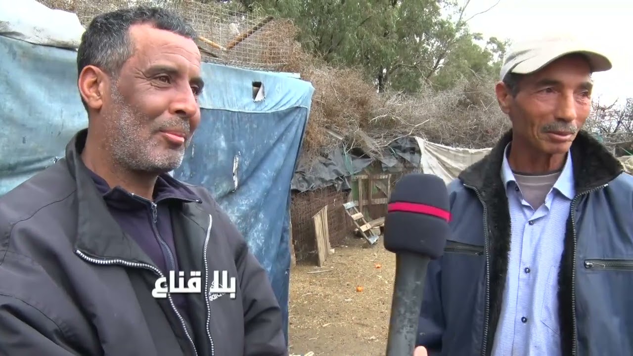 bila kinaa| فريكس وهدية العيد..ملح شنوة ؟ أحنا أشكون يتلفتلنا؟ سيبت نرمين ونتبع في تيك توك ؟
